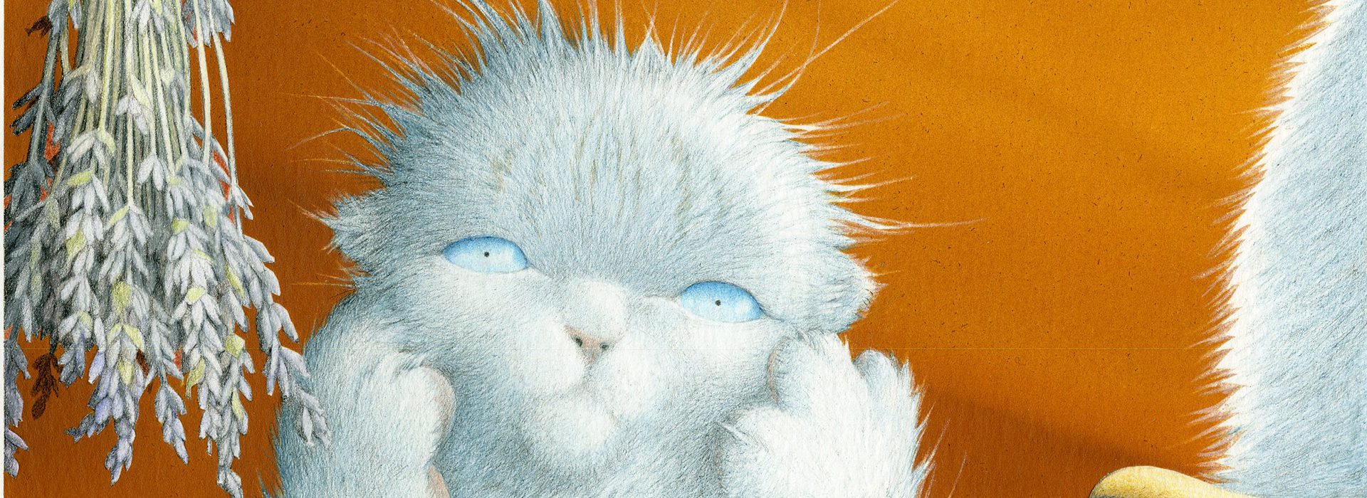 Janell Cannon: The Fuzzhead Tales