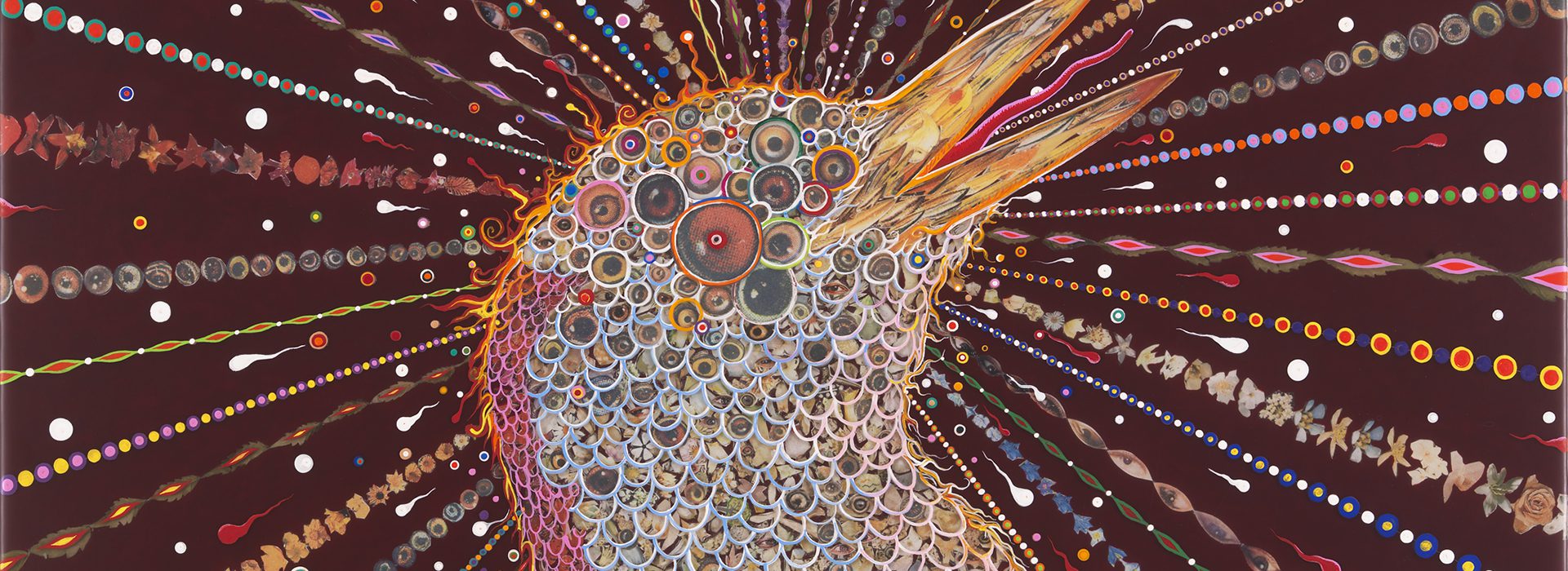Fred Tomaselli