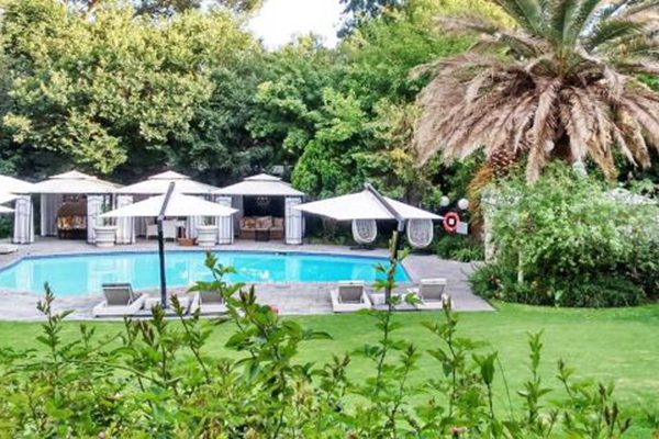 South Africa Art And Wine Tour