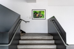 Don Bartletti, Chiapas Racers (in situ at OMA)