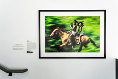 Don Bartletti, Chiapas Racers (in situ at OMA)