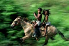 Don Bartletti, Chiapas Racers, 2000. Digital photographic print made with solvent ink; lexjet sunset matte paper mounted on 3/16" high density gator board; water based protective coating; 1" wide black lacquered hardwood frame, 32" x 42".