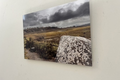 Alison Carlo, Ocean Remnant (in situ)