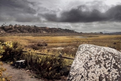 Alison Carlo, Ocean Remnant, 2021. Photography printed on aluminum metal panel, 12" x 18".