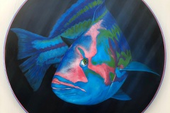 Margaret Chiaro, Wily Wrasse, 2019. Oil on handmade wood panel, 18" Diameter.