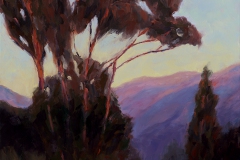 Barbara Davies, Eucalyptus Trail, 2018. Oil on canvas, 36" x 24".