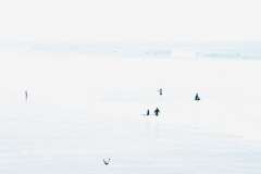 Edwin Feliu, Afternoon at the Harbor, Oceanside, CA, 2022. Color inkjet print, 8" x 8".