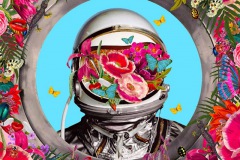 David Krovblit, Astronaut