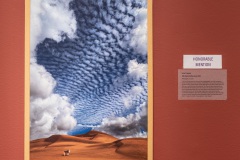Susan Coppock, Toby Exploring the Dunes, 2023. Photography on canvas, 24" x 16"