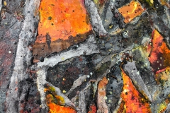Diana Carey, Wildfire (detail)