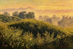 Arie Galles, Saddleback Mountain III, 2025. Acrylic on canvas, 16" x 24".