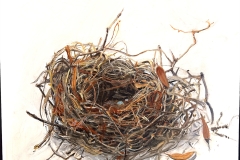 Judith Jarcho, Gatherings series: Nest 1 (Balboa Park), 2024. Oil on canvas, 24" x 24". Judith Jarcho, Gatherings series: Nest 1 (Balboa Park), 2024. Oil on canvas, 24" x 24".