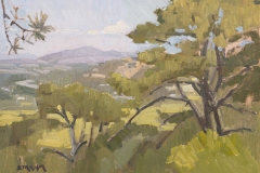 Paul Strahm, Torrey Pines, 2024. Oil on canvas, 12" x 16". Paul Strahm, Torrey Pines, 2024. Oil on canvas, 12" x 16".