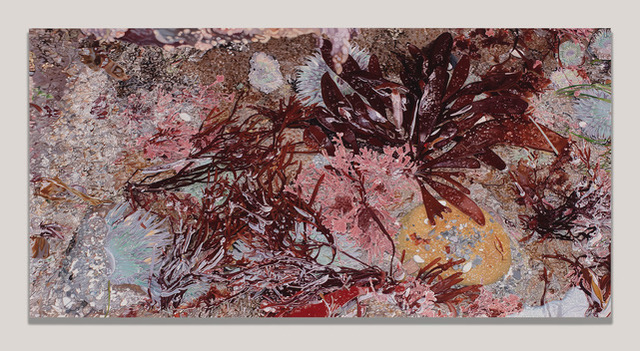 Connie Jenkins, Fraser Point, 2016. Oil on canvas, 42" x 84".