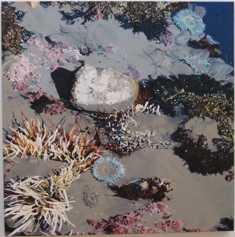 Connie Jenkins, Sandy Bottom, 2009. Oil on canvas, 36" x 36".