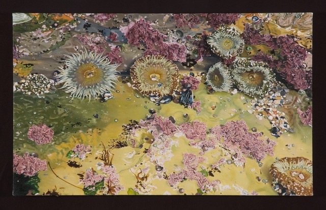 Connie Jenkins, Sea Flowers, 2006. Oil on canvas, 22" x 36".