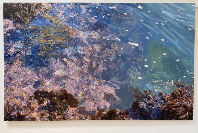 Connie Jenkins, Spring Tide, 2013-14. Oil on canvas, 55.5" x 90".