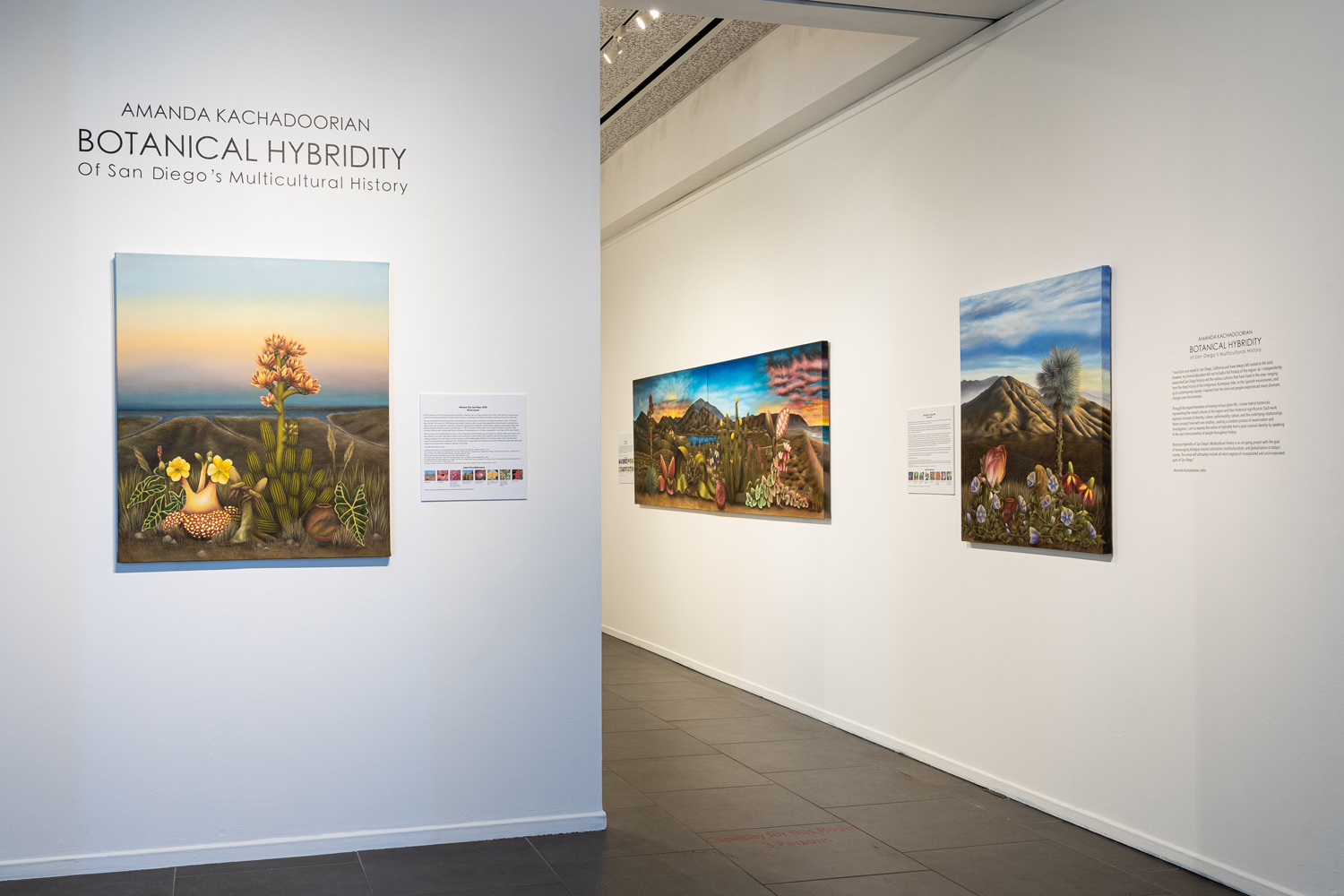Botanical Hybridity, gallery installation