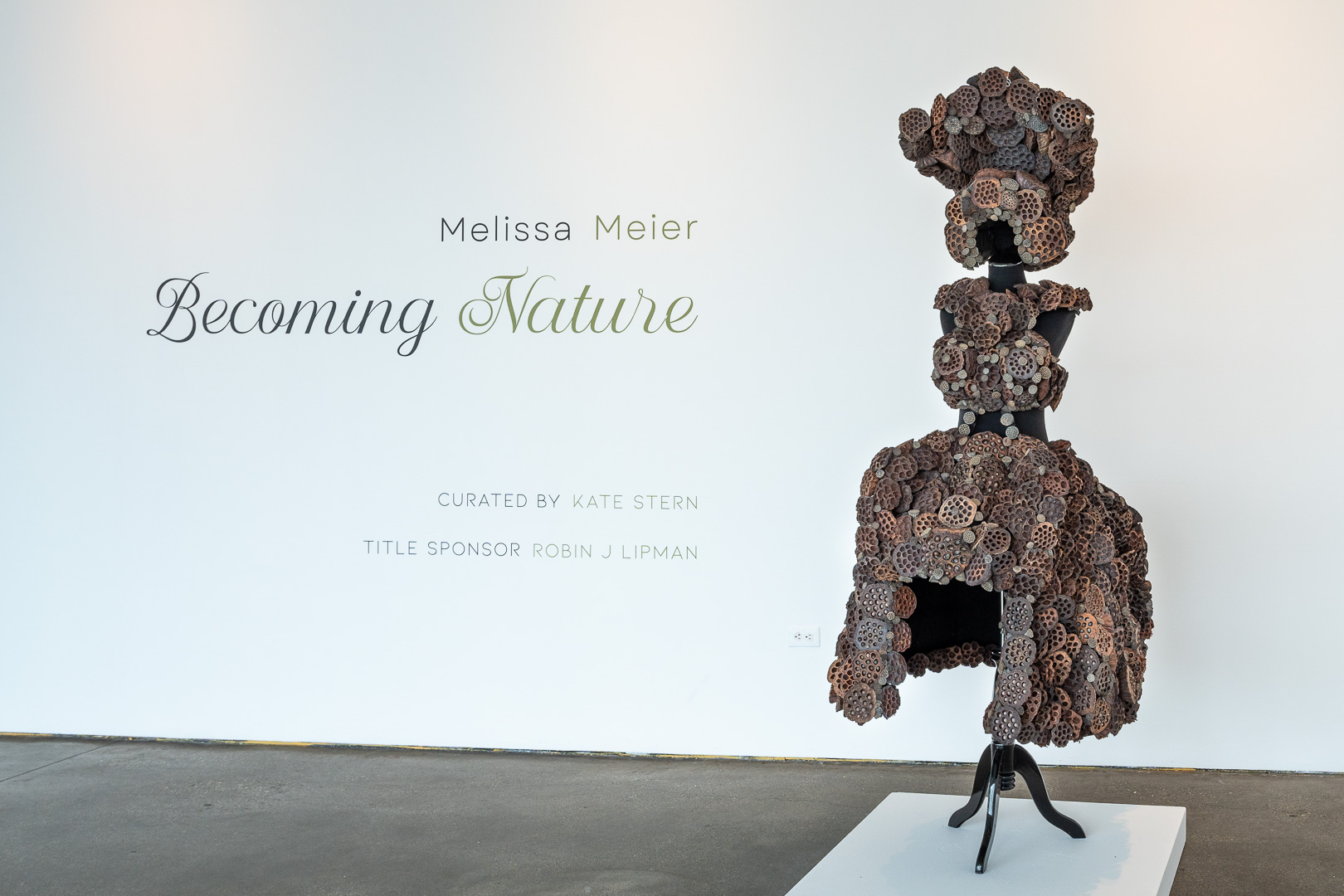 Melissa Meier: Becoming Nature, installed at Oceanside Museum of Art