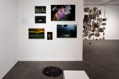 Memory is a Verb, installed at Oceanside Museum of Art