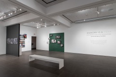 Memory is a Verb, installed at Oceanside Museum of Art