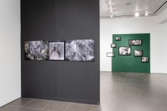 Memory is a Verb, installed at Oceanside Museum of Art