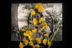 Elizabeth Bailey, Presence, from The House Next Door project. Photography.