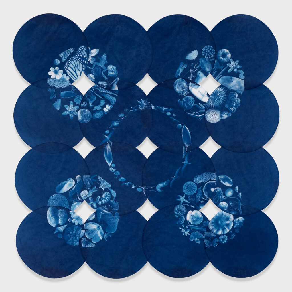 Annalise Neil, Cultivation of Silence, 2023. Cyanotype on Hahnemuhle Sumi-e paper, 39 x 39. $3500.