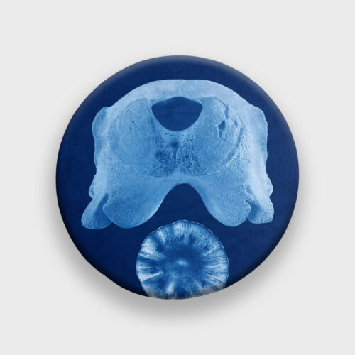 Annalise Neil, Emptiness is Form 1, 2023. Cyanotype on Hahnemuhle Sumi-e paper and wood, 10" x 10". $280.
