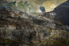 Aline Mare, Hahamongna Watershed, 2024. Hand worked mixed media, 26 x 34 Aline Mare, Hahamongna Watershed, 2024. Hand worked mixed media, 26 x 34