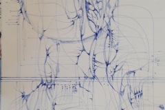 Lindsey Nobel, Structure the Young, 2002. Blue ink, 22" x 15". $1200 Lindsey Nobel, Structure the Young, 2002. Blue ink, 22" x 15". $1200
