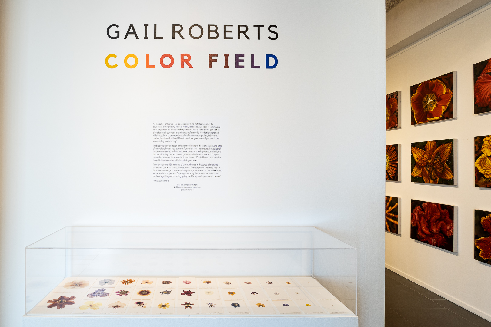 Gail Roberts: Color Field installed at OMA