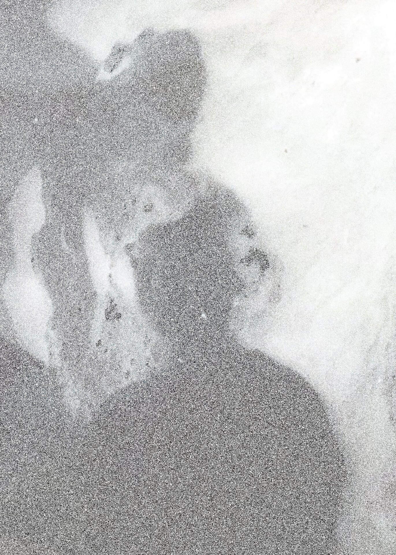 Asia Dorsey, White Noise, 2024. Digital mixed media, 16 x 20. $350 Asia Dorsey, White Noise, 2024. Digital mixed media, 16 x 20. $350