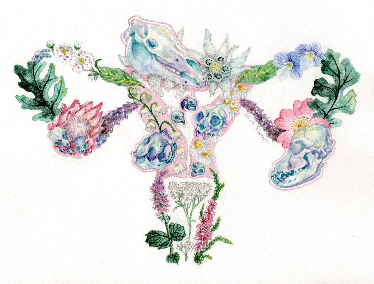 Dana Edwards, Fallopian Blooms, 2020. Watercolor, 7 x 11. $2000 Dana Edwards, Fallopian Blooms, 2020. Watercolor, 7 x 11. $2000