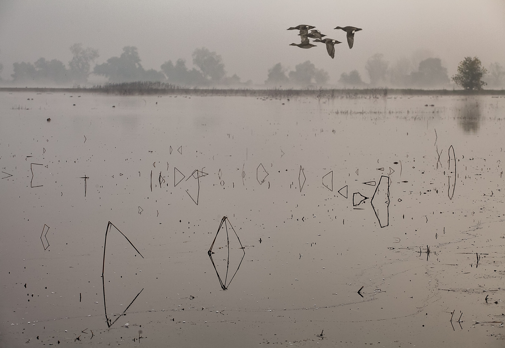 Susan Coppock, Graffiti Wetland, 2023. Photography, 16 x 20. $450 Susan Coppock, Graffiti Wetland, 2023. Photography, 16 x 20. $450