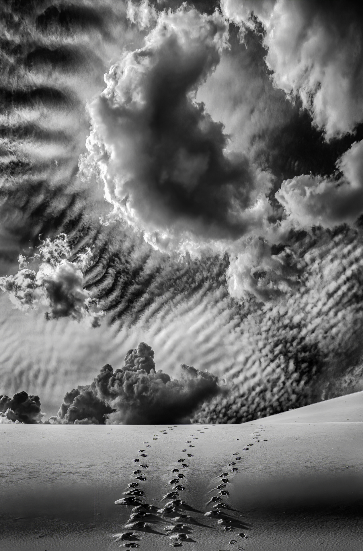 Susan Coppock, Into the Abyss, 2021. Photography, 24 x 16. $475 Susan Coppock, Into the Abyss, 2021. Photography, 24 x 16. $475