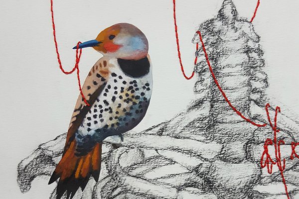 Oceanside Museum of Art | OMA