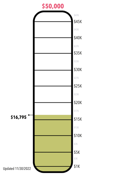 Annual Appeal_Meter_EmailGraphic_2022 (1)
